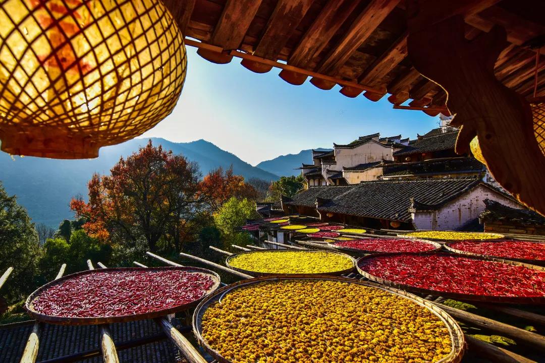 廬山、鄱陽(yáng)湖石鐘山、景德鎮(zhèn)、婺源篁嶺、三清山四日游